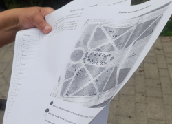 «Лечить нельзя спилить»: в Таганроге сосны на Октябрьской гибнут без внимания