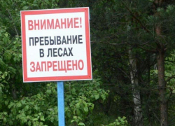 Аномальная жара в Таганроге может стать причиной лесных пожаров