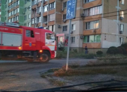 Виновницей возгорания в квартире в Таганроге стала черепашка