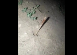В Таганроге Октябрьская площадь способна не только разочаровать, но и убить