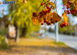 Таганрог: прогноз погоды с 6 по 10 ноября 