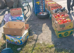 "Овощной круиз" в полицию: власти Таганрога снова штурмовали нелегальных торговцев