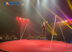 Хотите острых ощущений и атмосферу праздника - посетите цирк Династии Довгалюк