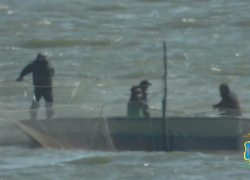 В Неклиновском районе задержаны браконьеры