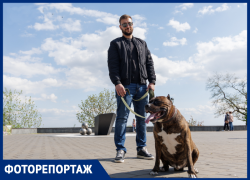 «Лучшие друзья таганрожцев»: прогулка с питомцами по улицам любимого города