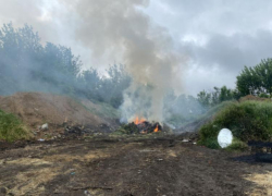 Таганрожцев призывают не жечь сухую растительность
