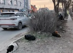 "Это — туристический Армаггедон": таганрожцы показали запустение возле Старого вокзала