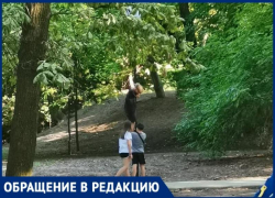 Сколько прослужат новые фонари?: «милые детишки» в Дубках стали проверять их на прочность