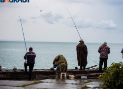 Эколог рассказал, почему нельзя есть рыбу из Таганрогского залива