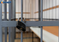 Семейный подряд на 30 эпизодов: закладчица из Таганрога получила срок