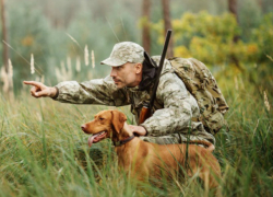 Таганрогским охотникам угрожают большие штрафы