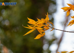 Главные советы для таганрожцев, чтобы провести день Лонгина Сотника правильно