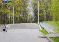 «Нужно ли оградить рощу Дубки?» - администрация задаёт вопрос таганрожцам