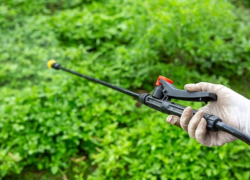 В Таганроге стартовала ежегодная весенняя обработка городских территорий