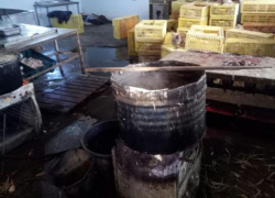 Почти тонну незаконной куриной продукции изъяли под Таганрогом