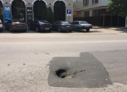 В Таганроге найдена новая порода деревьев - "асфальтовые"