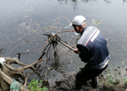 Разделенная реальность: администрация рассказала о чистке пруда, таганрожцы не согласны