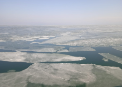 Медузы и планктон не рады:  Таганрогский залив и Азовское море покрылись льдом