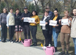 В Парке 300-летия молодые педагоги высадили платаны 