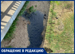 Море с мазутом – таганроженка бьет тревогу о загрязнении Таганрогского залива