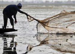 До 2 лет тюрьмы может грозить таганрогскому горе-рыбаку  за 15 рыбёшек