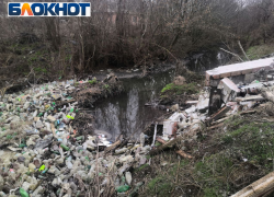 Не Доном единым: таганрогским рекам тоже нужен хотя бы день в году