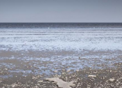 Фотография Таганрога попала в ТОП-10 фотопроект PhotoBRICS 2016