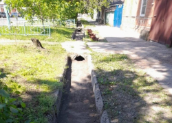 В Таганроге специалисты коммунальных служб косят траву 