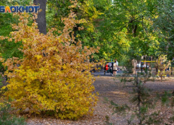 31 октября — Луков день. Что нужно сделать таганрожцам  для здоровья и удачи