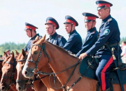 Хронический дефицит казаков наблюдается в Таганроге и других городах области 