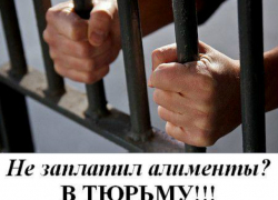 В Таганроге  неплательщика алиментов  посадили в тюрьму