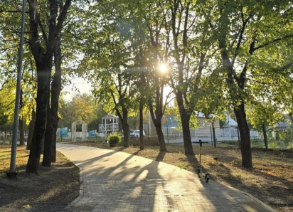Чуть более суток осталось до завершения голосования за выбор объектов благоустройства по нацпроекту