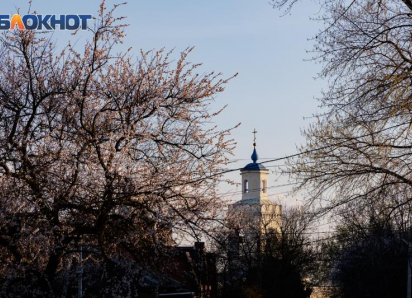 Весна берёт своё: в Таганроге после дождливого апреля ожидается потепление до +20°C