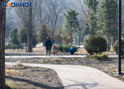 Около 90% зелёных насаждений погибло в Таганроге, а МКУ «Благоустройство» под прицелом силовиков