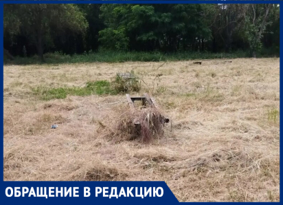 «Спичку кто-то бросит и заживо сгорим»: таганрожцы жалуются на опасный сеновал на Циолковского