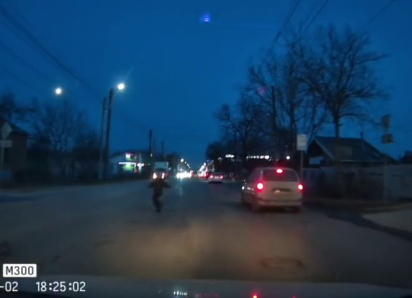 Ребёнок рисковал жизнью ради раненой собаки в Таганроге