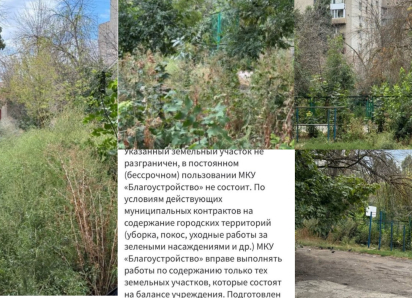 Заросли выше человеческого роста: таганроженка сообщила о заброшенной спортплощадке, а в ответ получила отписку от властей