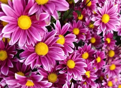 Товар дня: скидка на тур в Крым