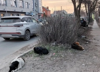 «Это — туристический Армаггедон»: таганрожцы показали запустение возле Старого вокзала