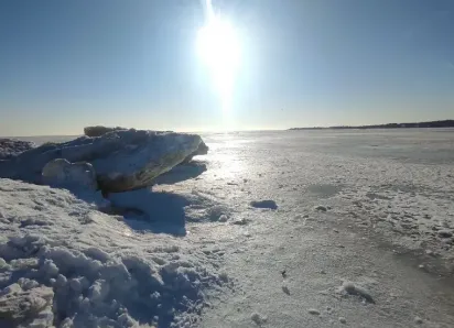 «Птички моржуют»: тагагроженка поделилась эффектными фотографиями зимнего пляжа
