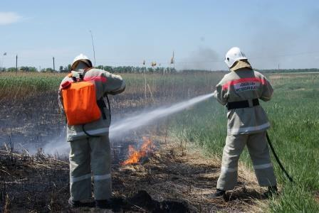 В Таганроге и области сохраняется высокий уровень пожароопасности