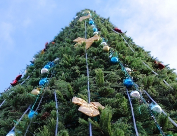 В Таганроге городскую елку откроют 24 декабря