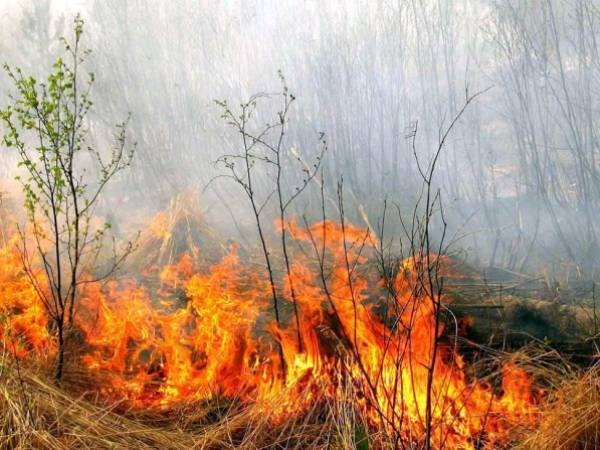 МЧС предупреждает жителей Таганрога о чрезвычайной пожароопасности