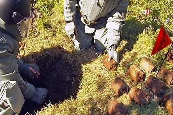 Немецкий тайник с боеприпасами нашли вблизи Таганрога