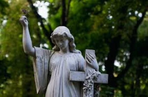Житель Таганрога предложил альтернативное решения проблемы нехватки мест на кладбище
