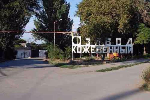 Долги таганрогского кожевенного завода продают