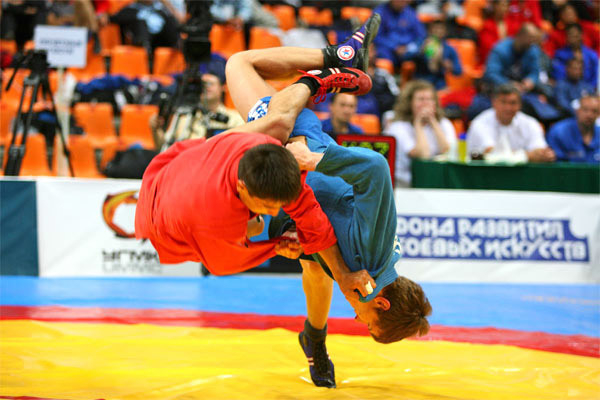 Таганрогские самбисты завоевали 12 медалей на первенстве региона