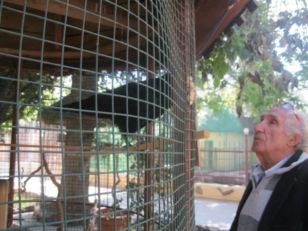 Говорящий ворон Карыч уже пять лет живет в Таганроге