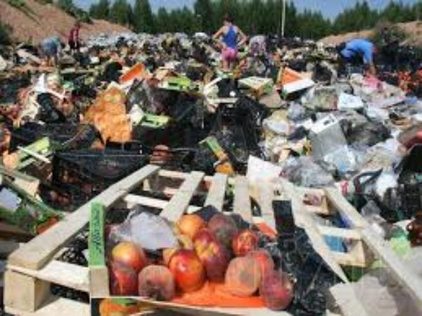 В Таганроге занялись решать мусорный вопрос