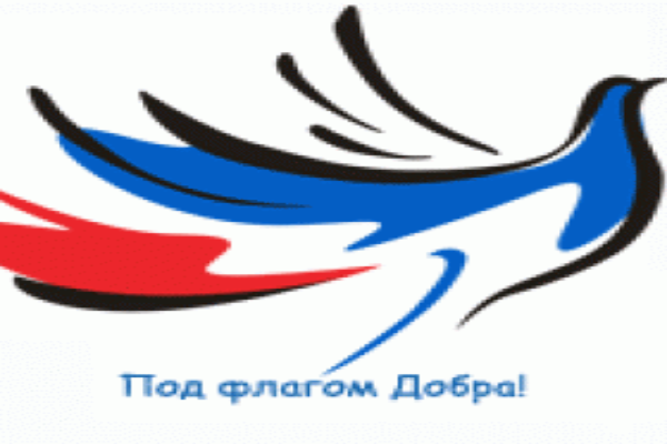 Акция «Под флагом добра!» собрала всего 72 тысячи рублей